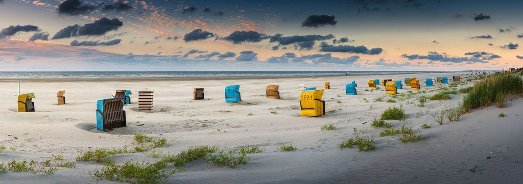 Strand Loog