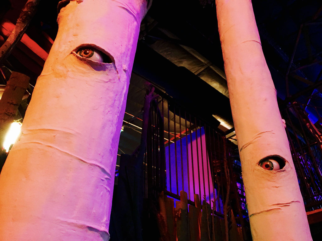 trees with eyes meow wolf