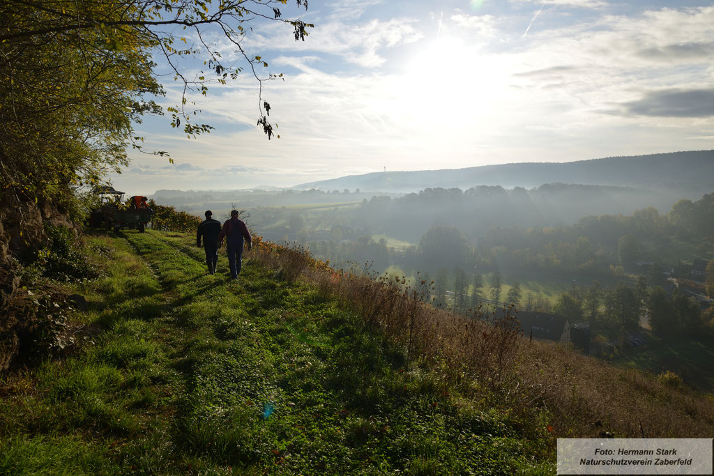 Herbst mit Blick vom Spitzenberg. In der Ferne (Bildmitte) der "Michaelsberg" im vorderen Zabergäu.