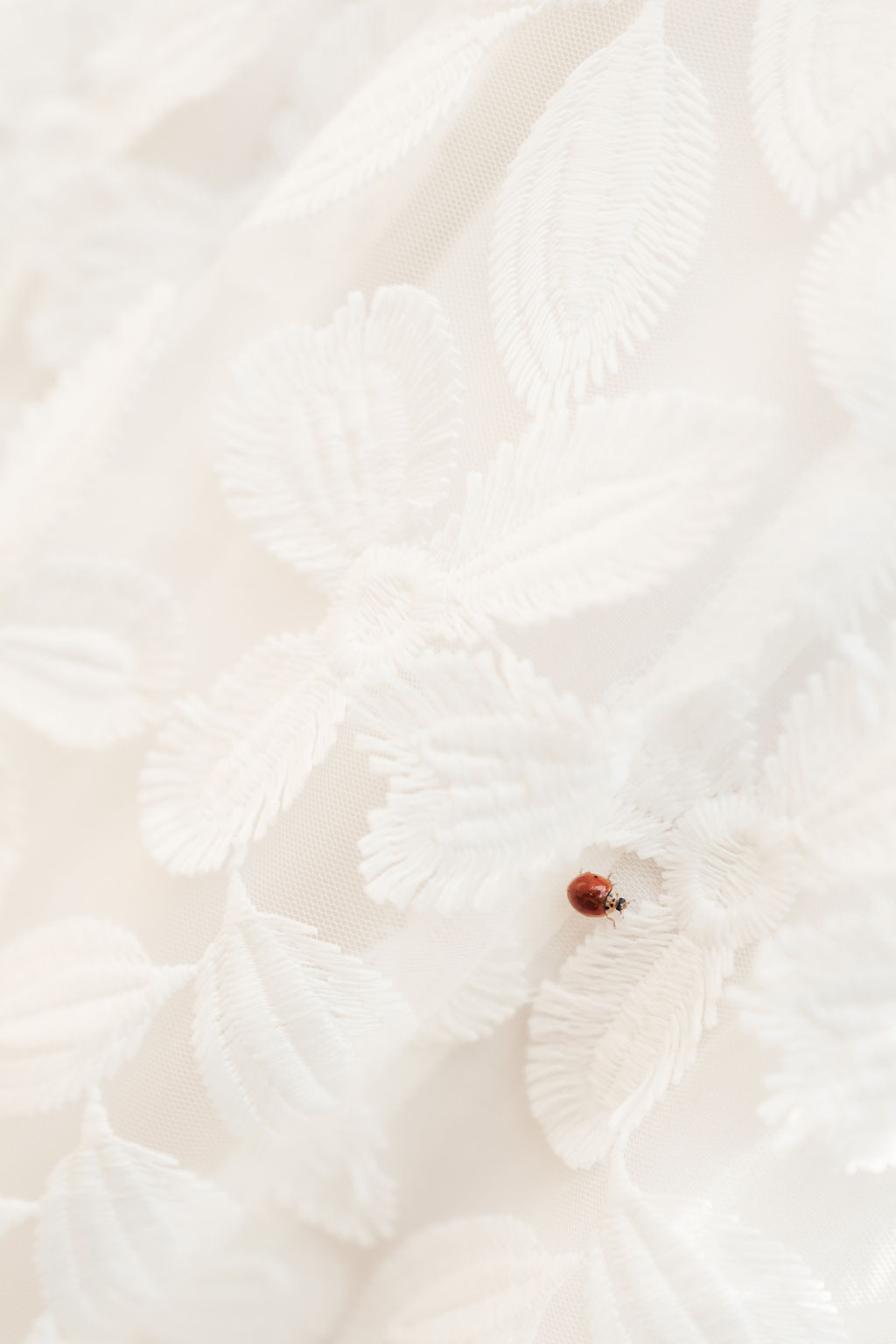 Hochzeitsfotografin Idstein, Hochzeitskleid, Glückskäfer, Marienkäfer, Details