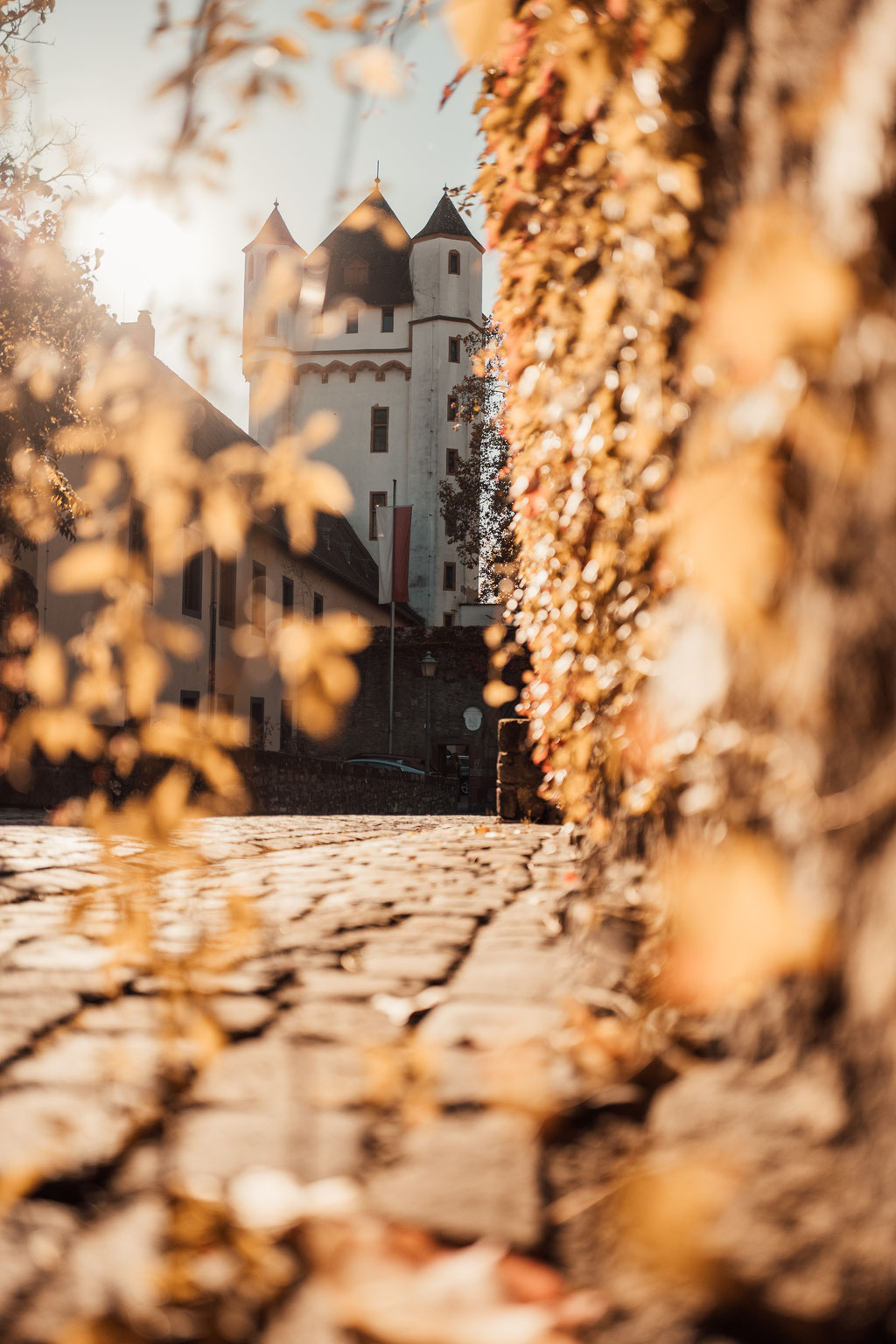 Hochzeitsfotografin Idstein, kurfürstliche Burg