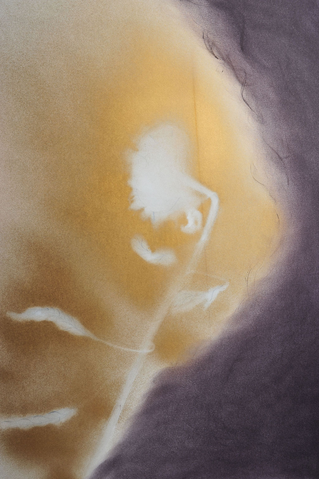 ARTwork: Andreas Ender (AT) | SELECTed . 22 - Titel: Sonnenblume im Herbststurm - 50x70cm - Preis: 450,00€