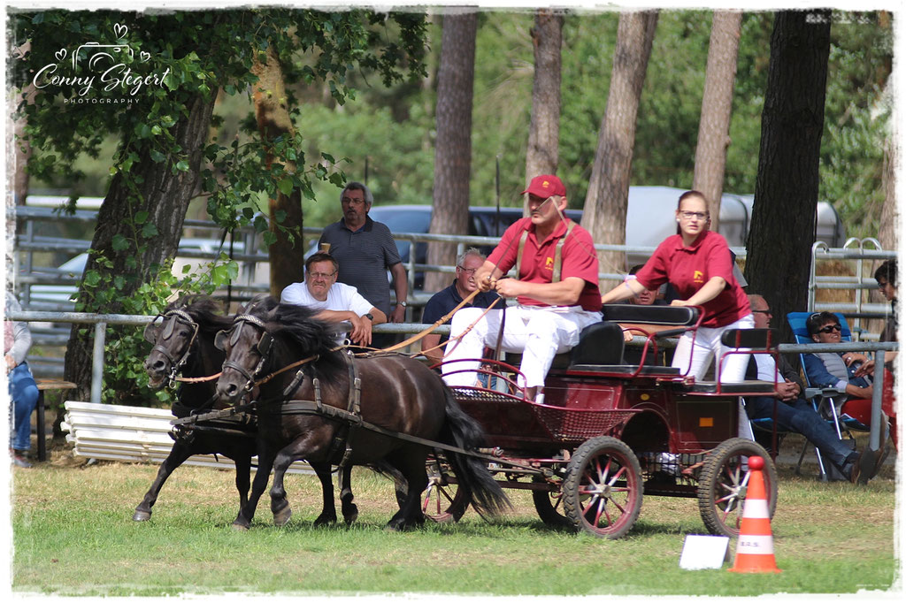 Kegelfahren - 3 Platz 2 Spänner Shetlandponys links StPrSt Romina rechts StPrSt Ria  beides selbstgezogen von Celine Juhl (Beifahrerin)  Fahrer: Friedrich Wilhelm Juhl 
