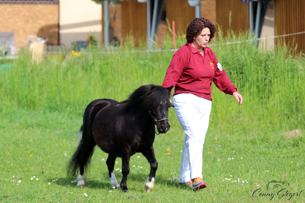 Viktoria vom Schäferberg