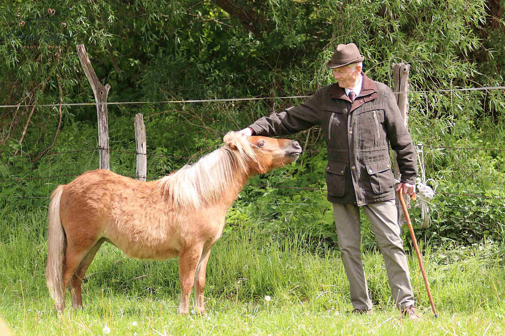 ZG Schaper/ Schönhoff - 1 jährige Jungstute v. E süddt. PrH Big Boy