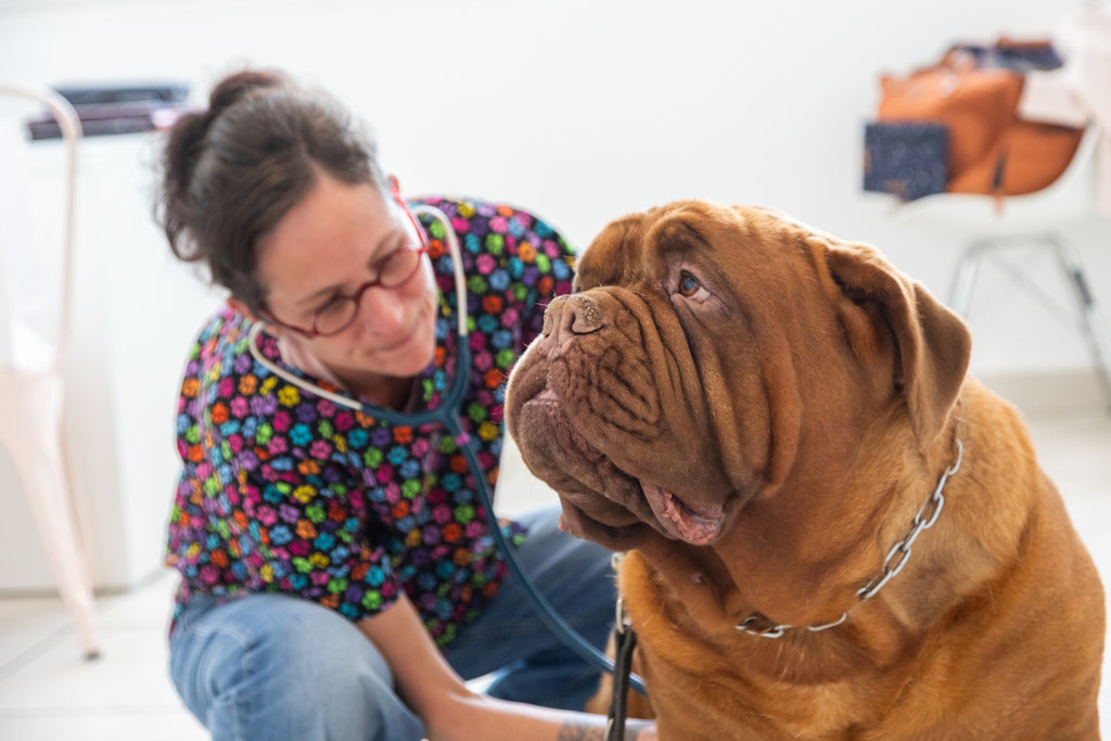 Reportage - Packshot - Corporate - Photo entreprise