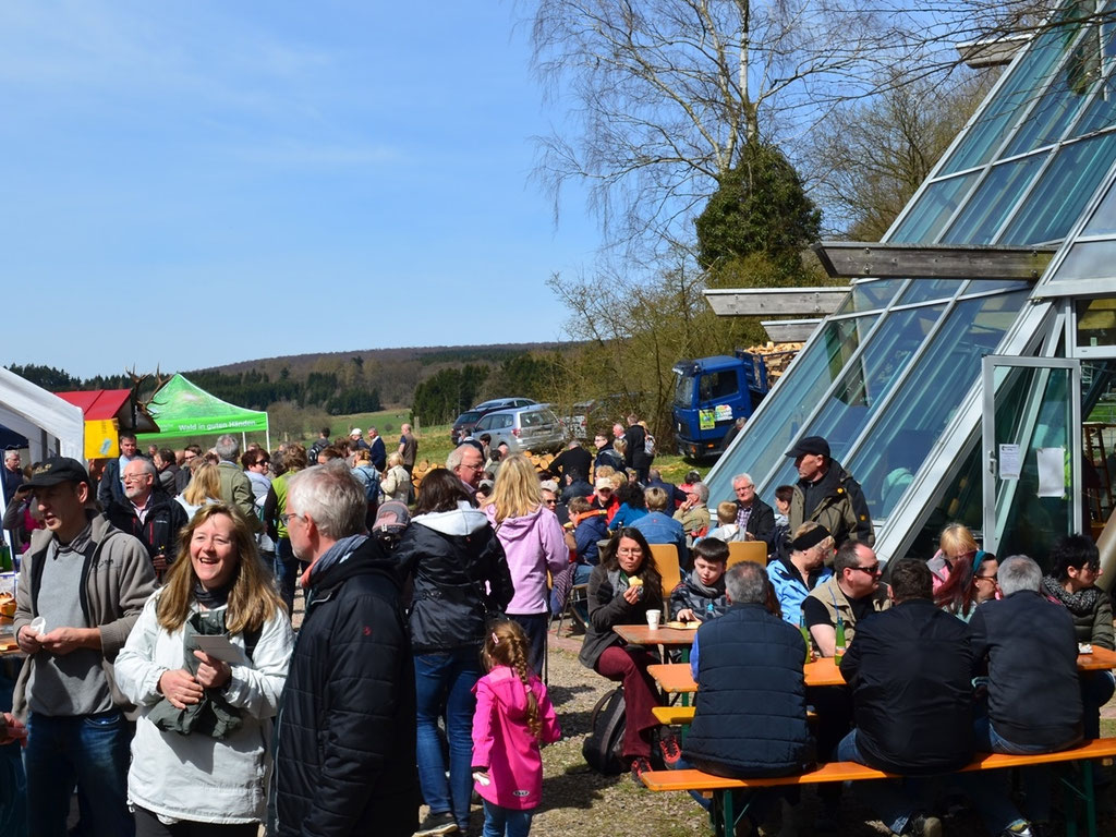 Baumhaushotel Solling, Waldmarkt