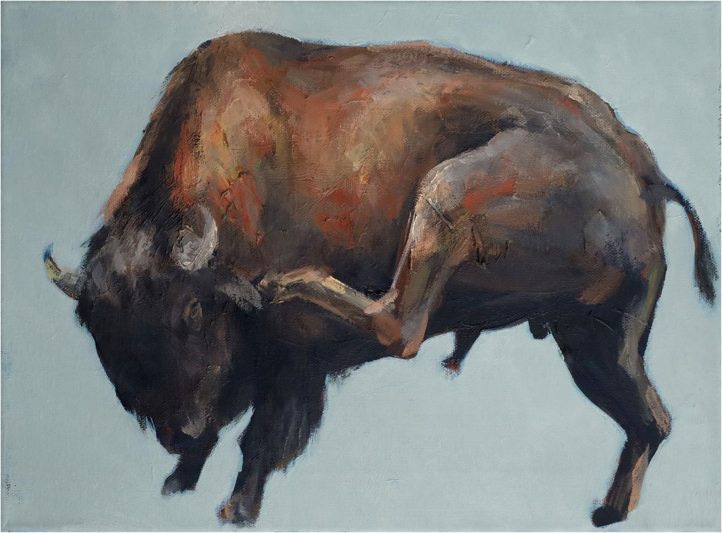 Bison, Öl auf Leinwand, 2025, 40 x 30 cm