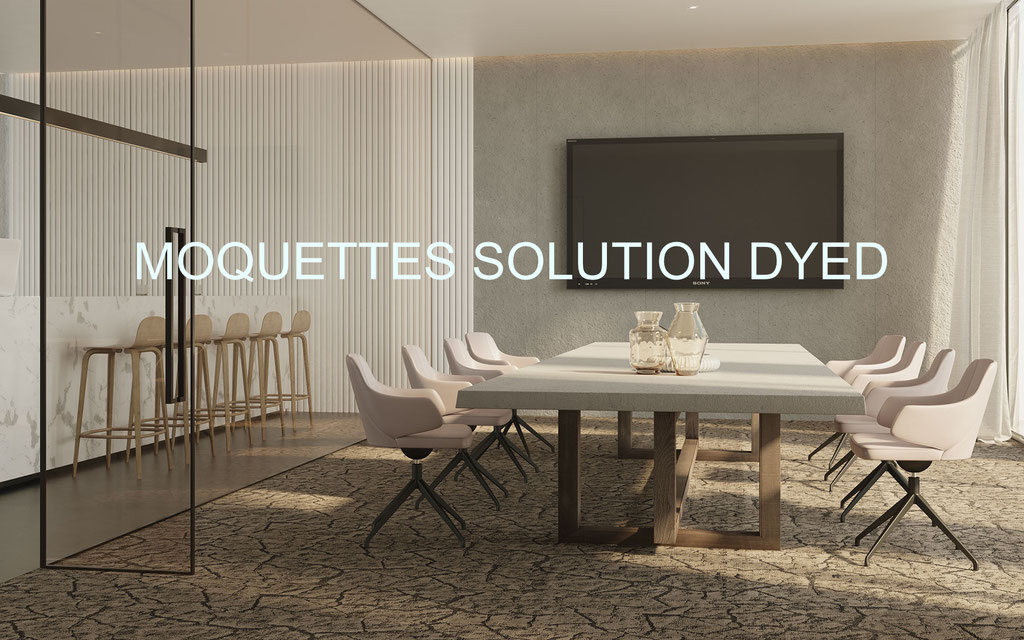 MOQUETTES SOLUTION DYED