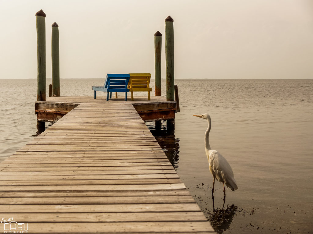Florida - Key Largo