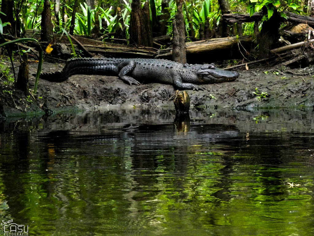 Florida - Loxahatchee River