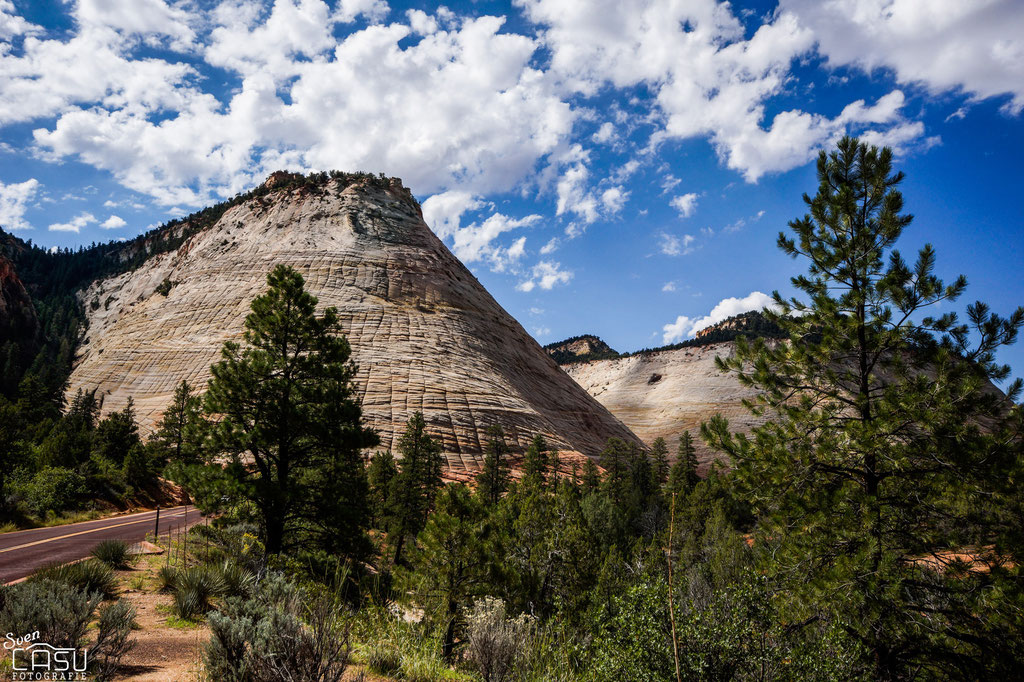 Zion Canyon - Checkerboard Mesa