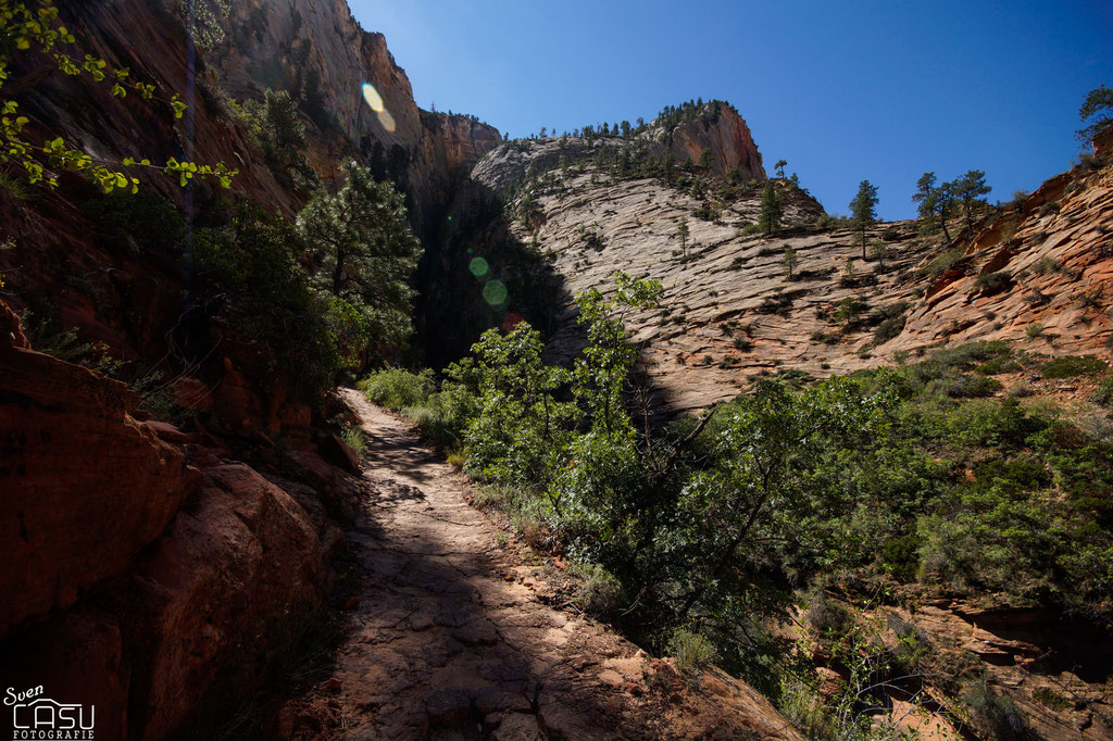 Zion Canyon