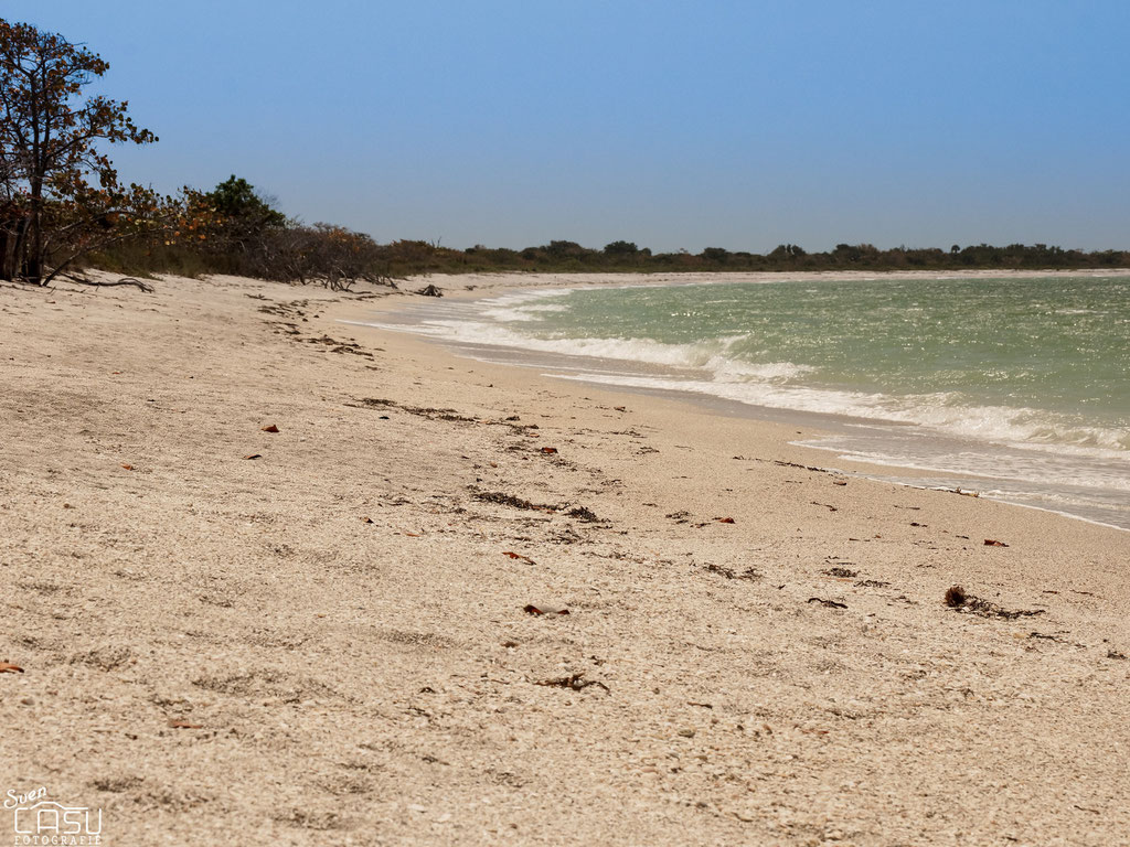 Florida - Cayo Costa