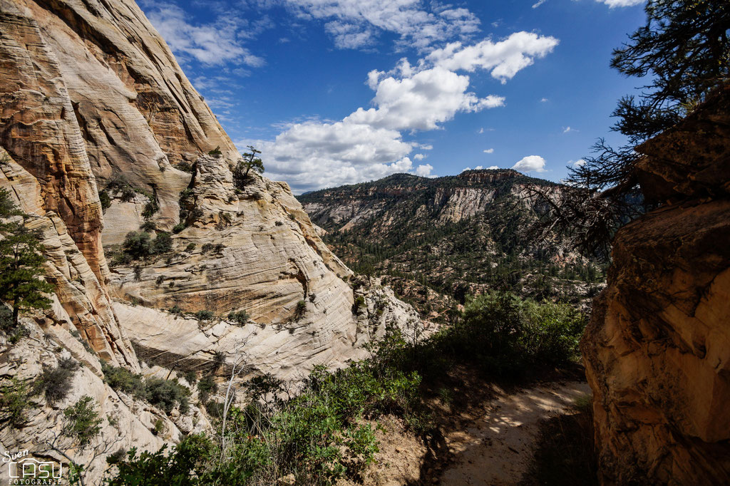 Zion Canyon