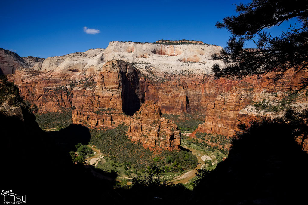 Zion Canyon - Angels Landing