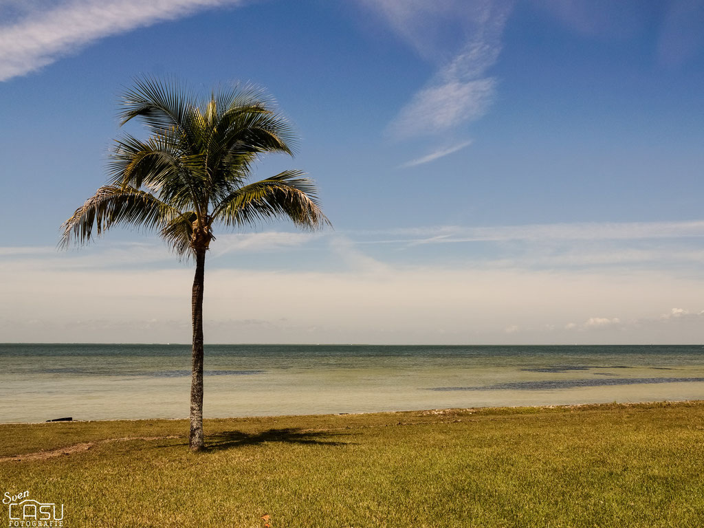 Florida - Pine Island - Bokeelia