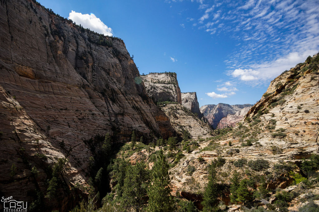 Zion Canyon
