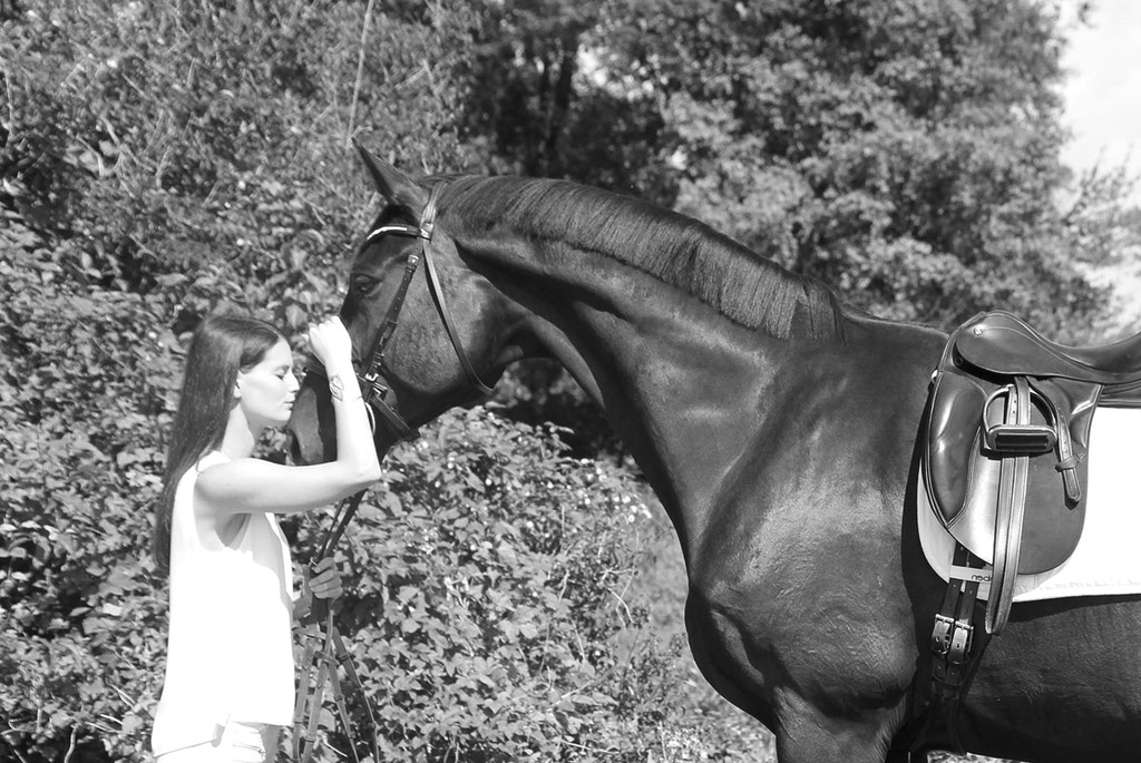 Pferdeschmuck - aus purer Liebe und Zuneigung zu Ihrem Pferd 