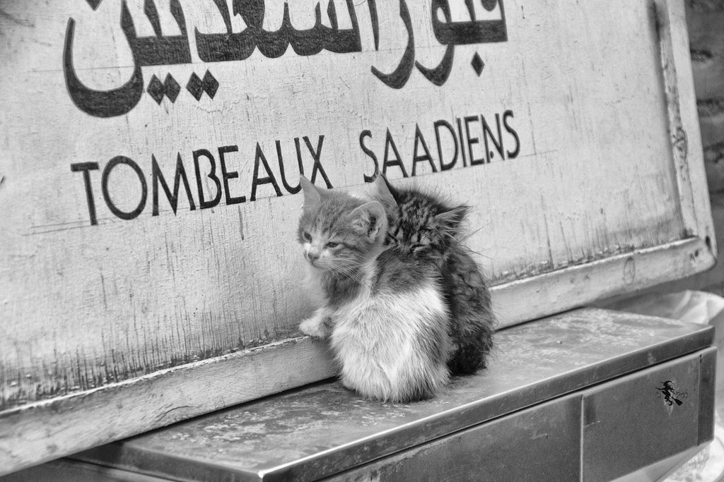 Marrakesch - Tombeaux Saadiens