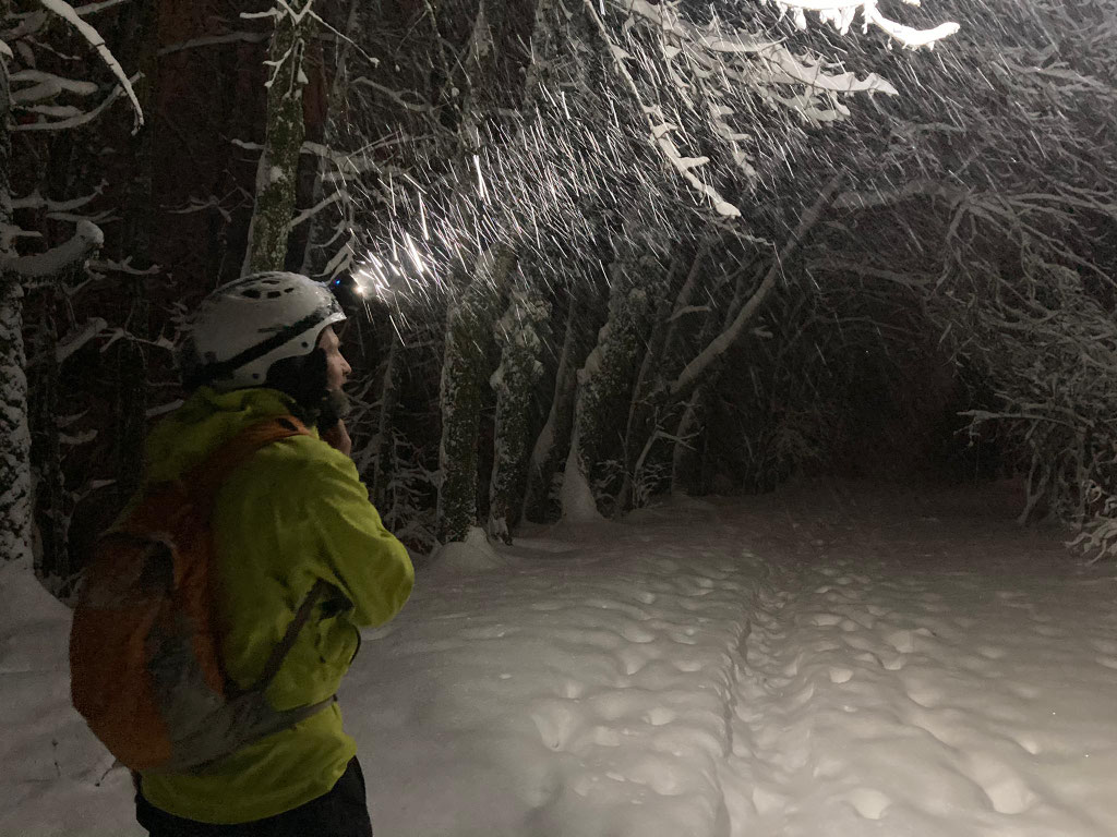 Daniel Fritschi Skitour auf den Albis