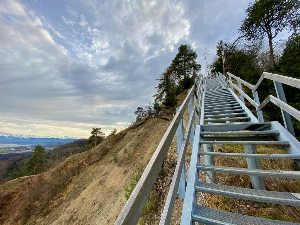 Föhrenweg Uetliberg.