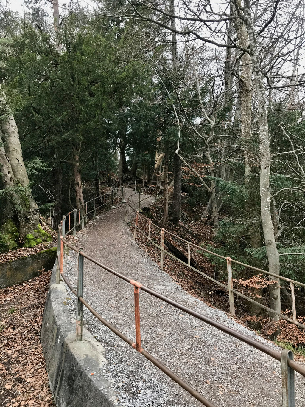 Föhrenweg Uetliberg.