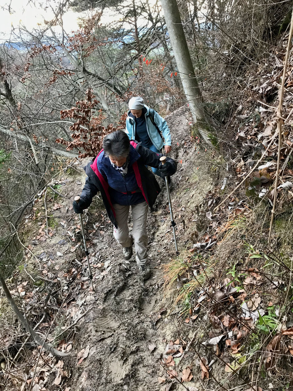 Denise Sigg und Rosmarie Fritschi auf dem Coiffeurweglein Uetliberg.