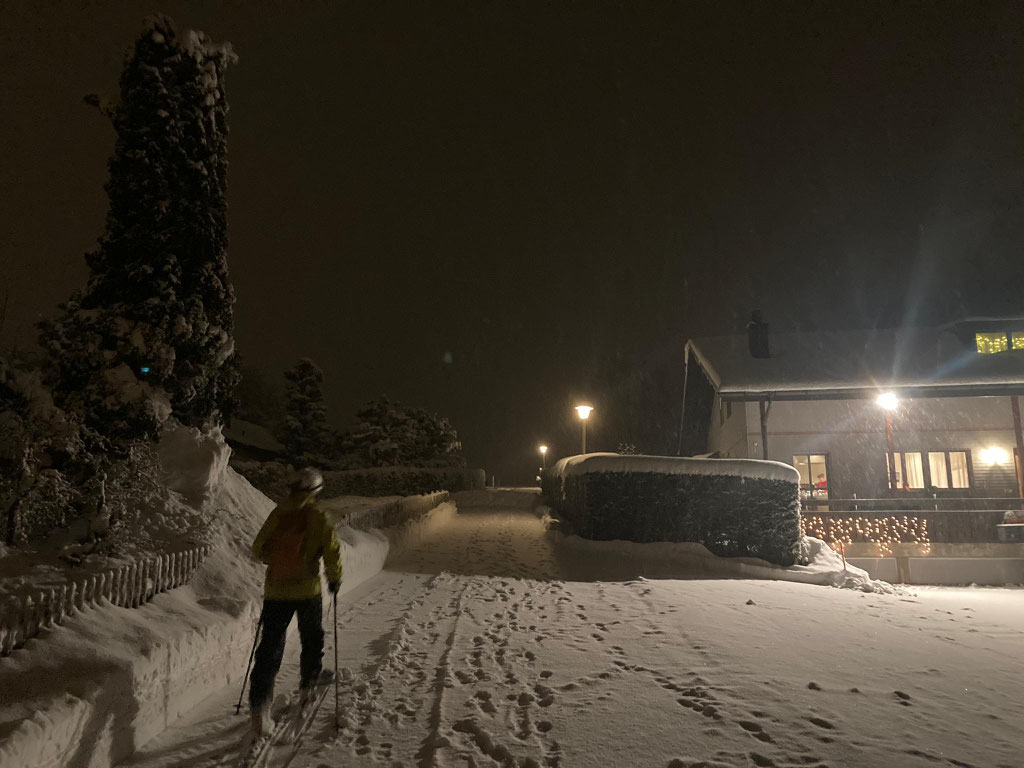 Daniel Fritschi Skitour auf den Albis