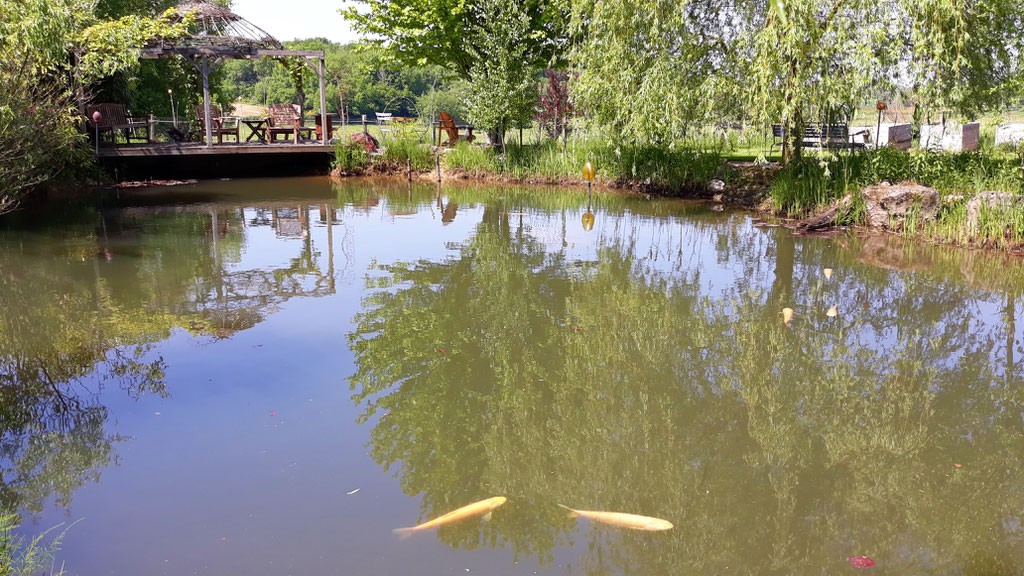 05.05. die Fische tummeln sich in den obersten wärmeren Schichten des Wassers