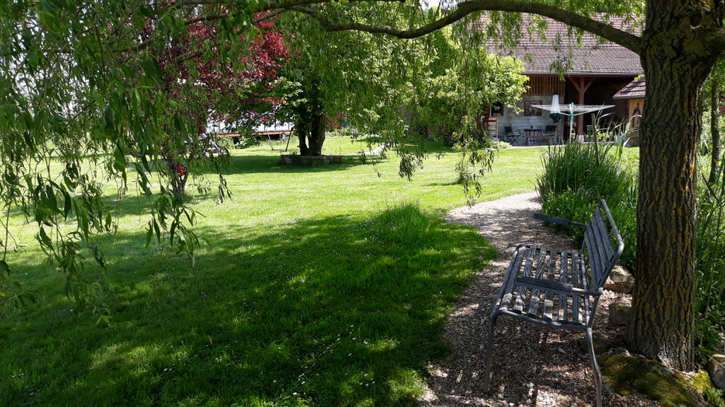 05.05. eine Bank im Schatten der Trauerweide