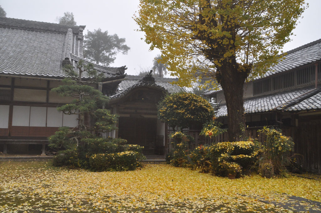 秋の風景
