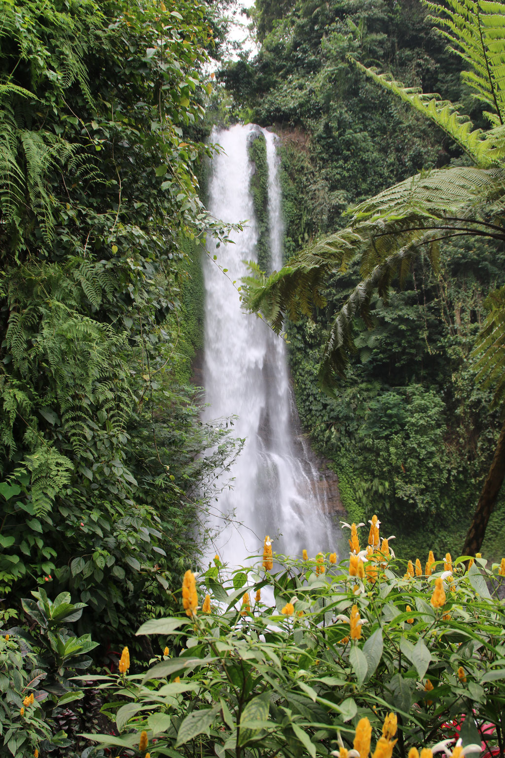 Gitgit Waterval