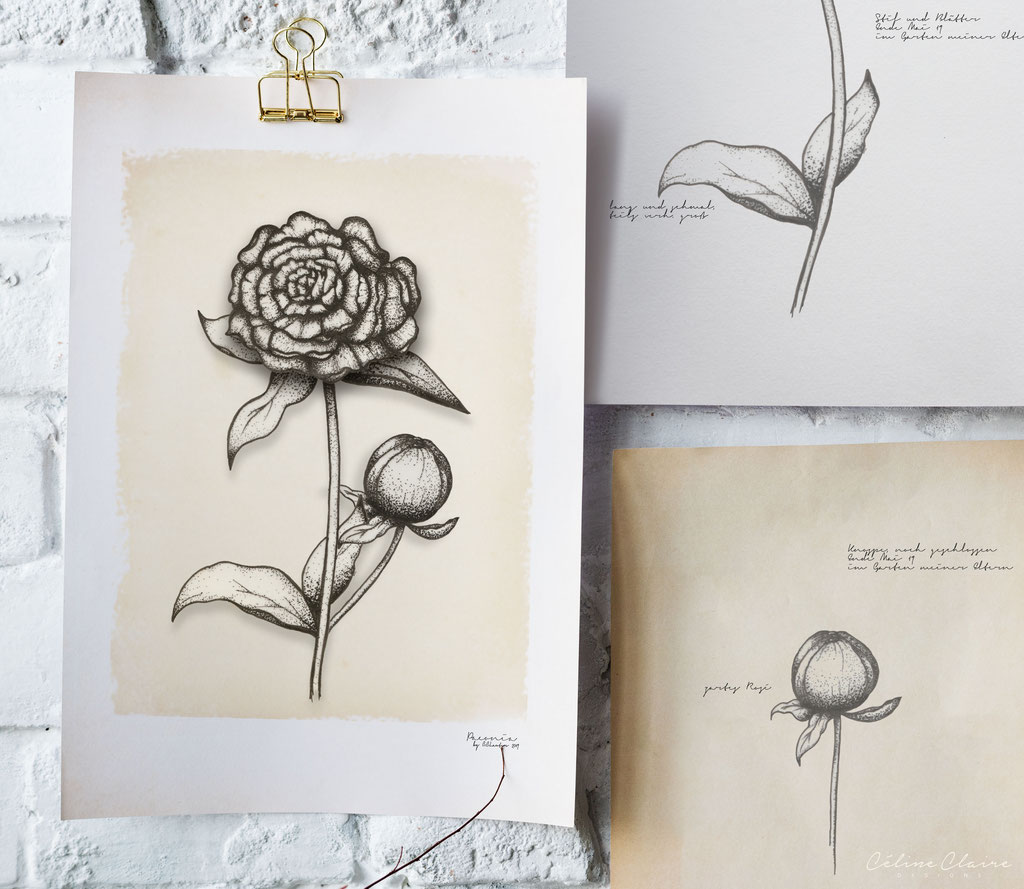 Vintage Rose (analog, digitalisiert)