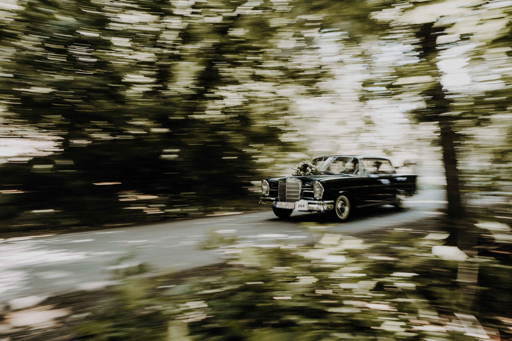 Nele & Georg - Adams Gasthof - Hochzeitsfotograf Moritzburg - PachalyPictures