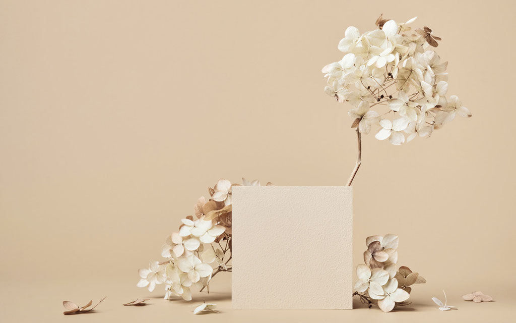 MOMO PURE Dekor von Giovanna Molinari-Casile
