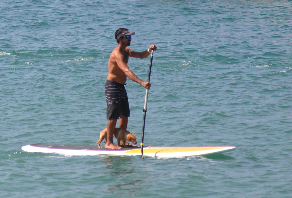 SUP on rincon's Caribbean Coast