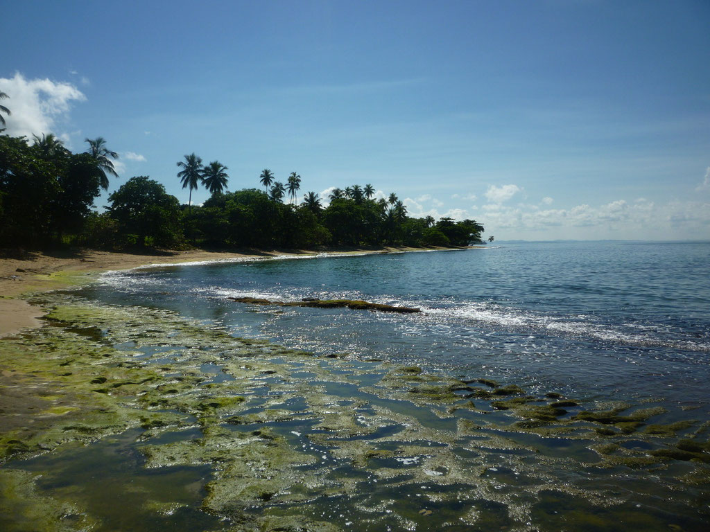 Steps Beach and the Tres Palmas Marine Reserve