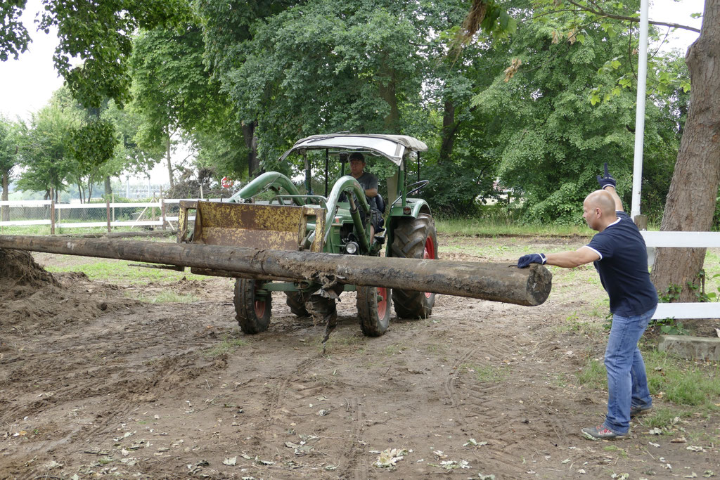 Unser Außengelände soll schöner werden, Aufräumen am 27.06.2015