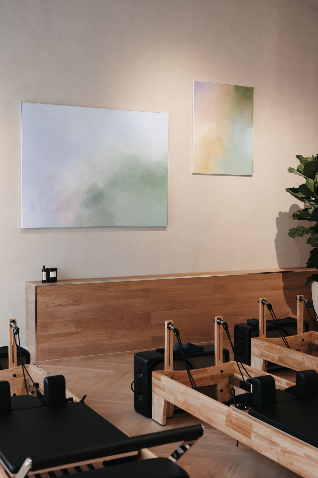 Pilates Reformer Studio Pflanze