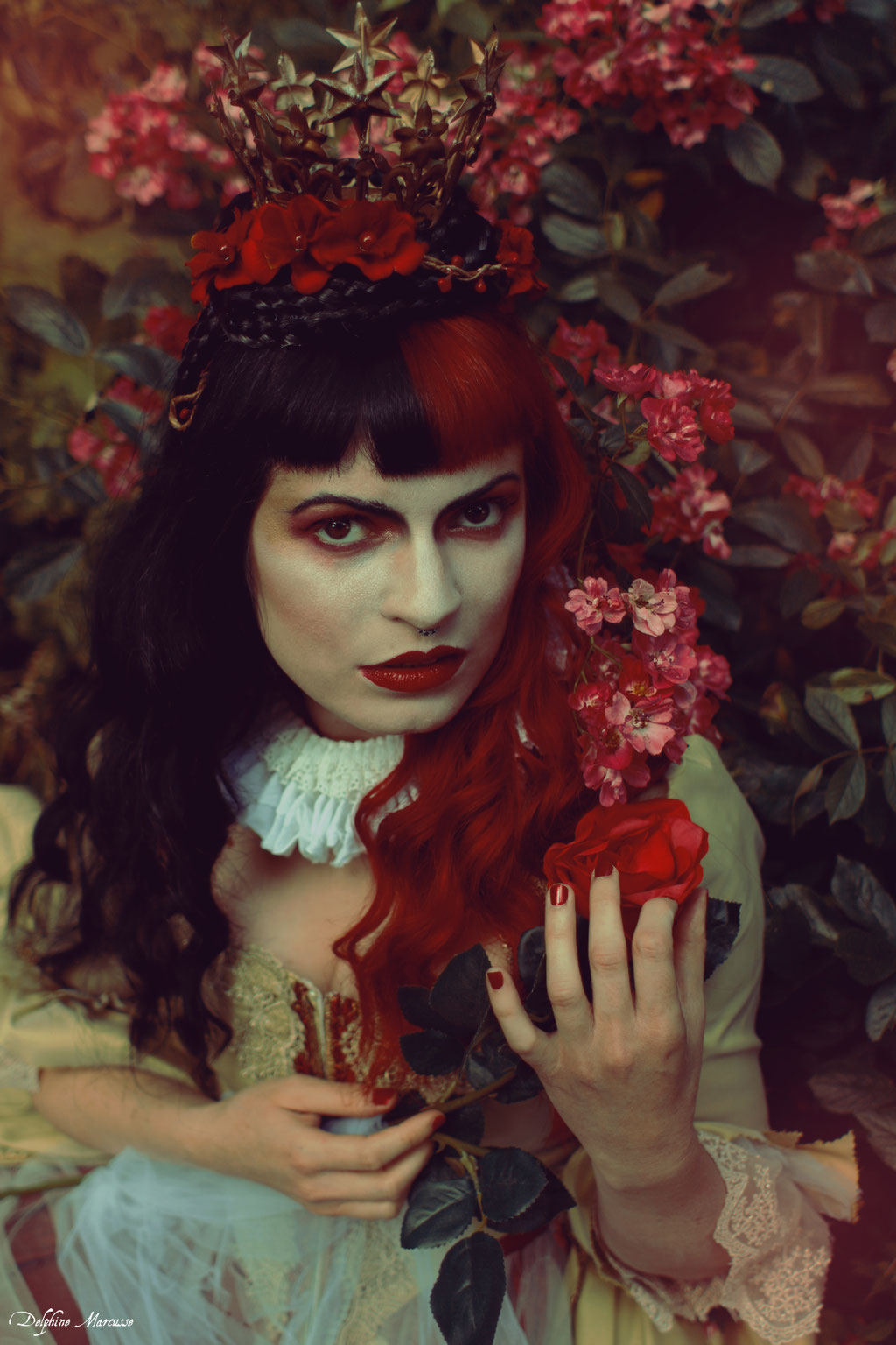 La reine rouge / The red queen