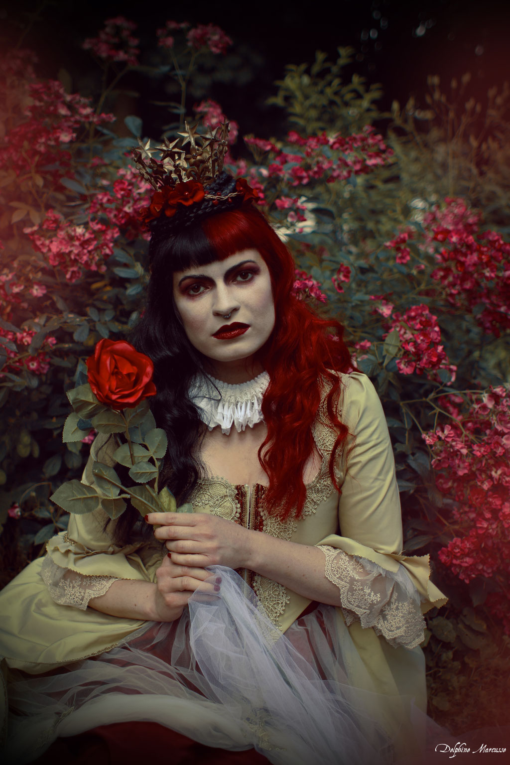La reine rouge / The red queen