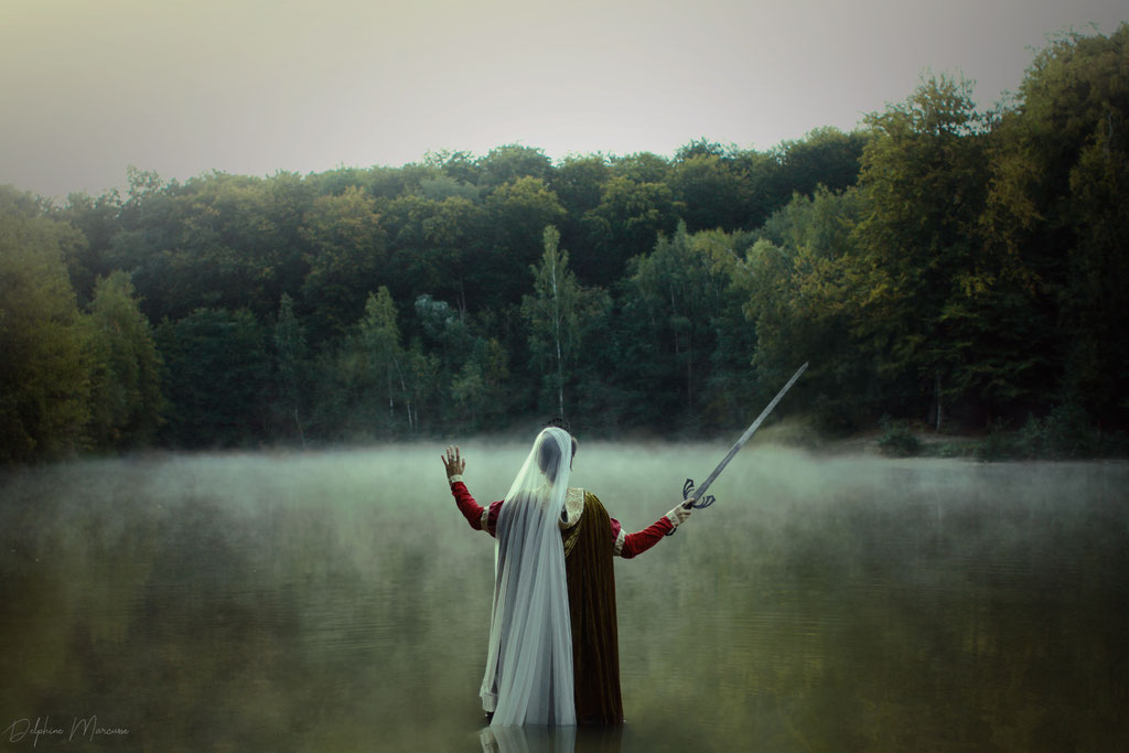 Les brumes d'Avalon / The mists of Avalon