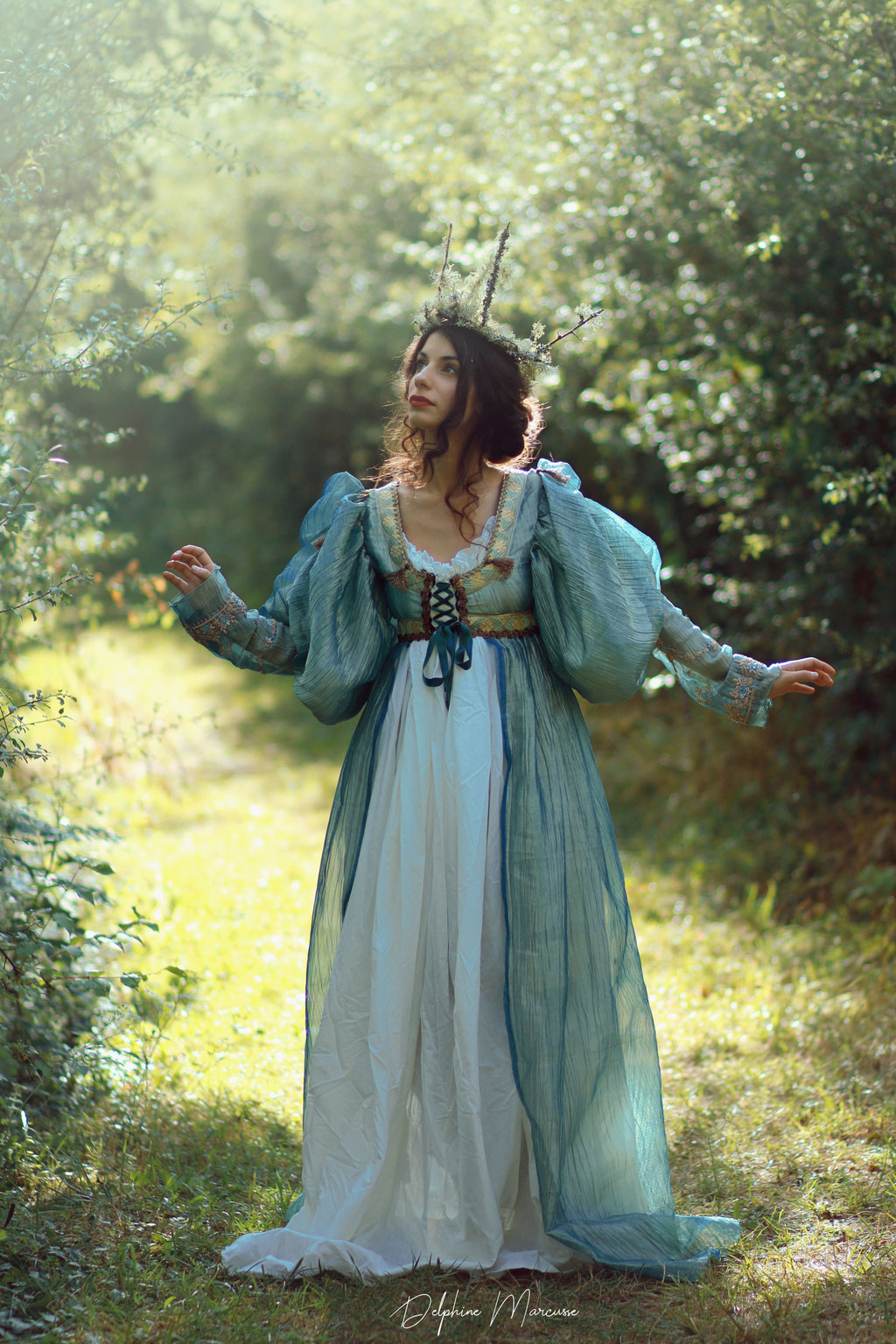 La reine des fées / The faeries' queen
