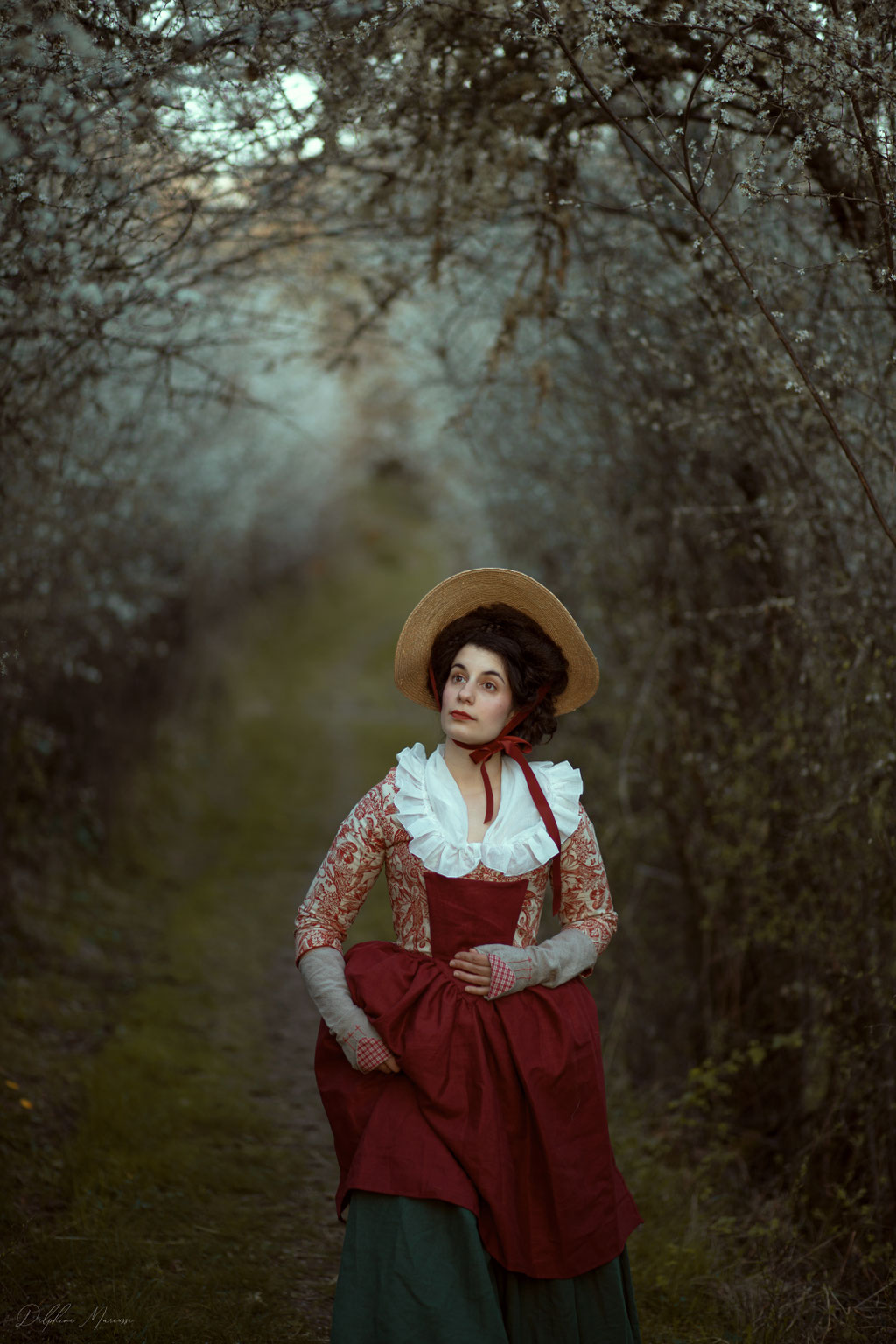 Portrait historique campagne