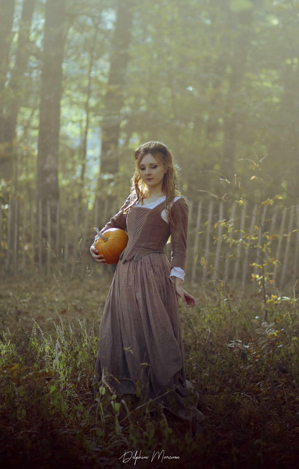 La sorcière de Salem / The salem's witch
