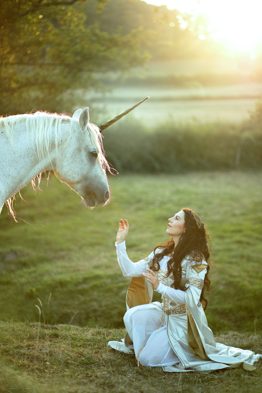 la dame à la licorne