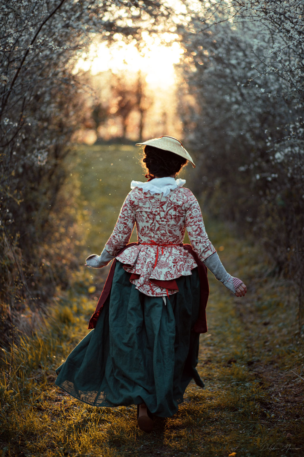 Portrait historique campagne