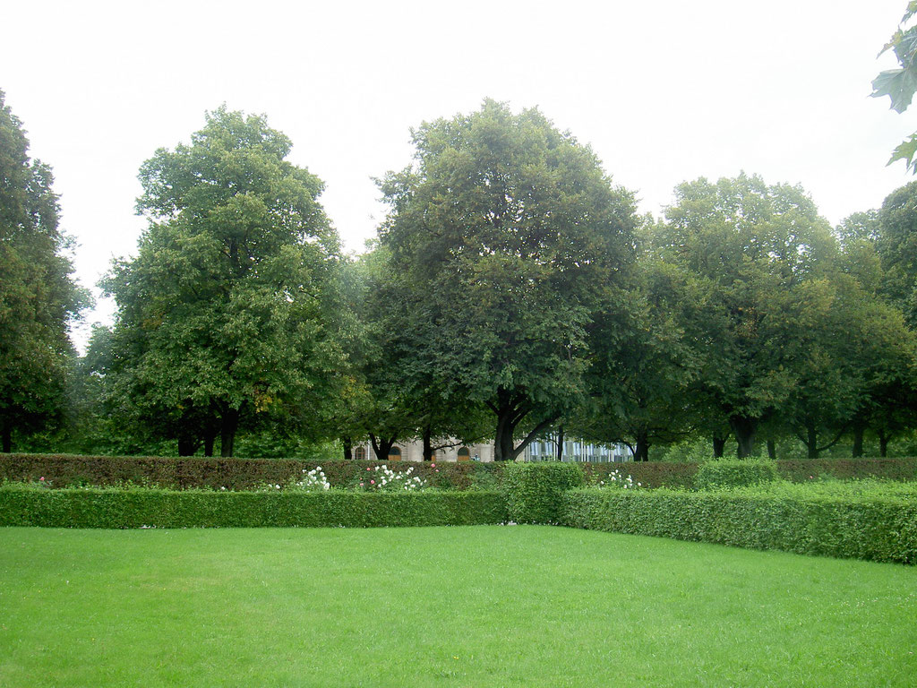 Grünanlage im Hofgarten
