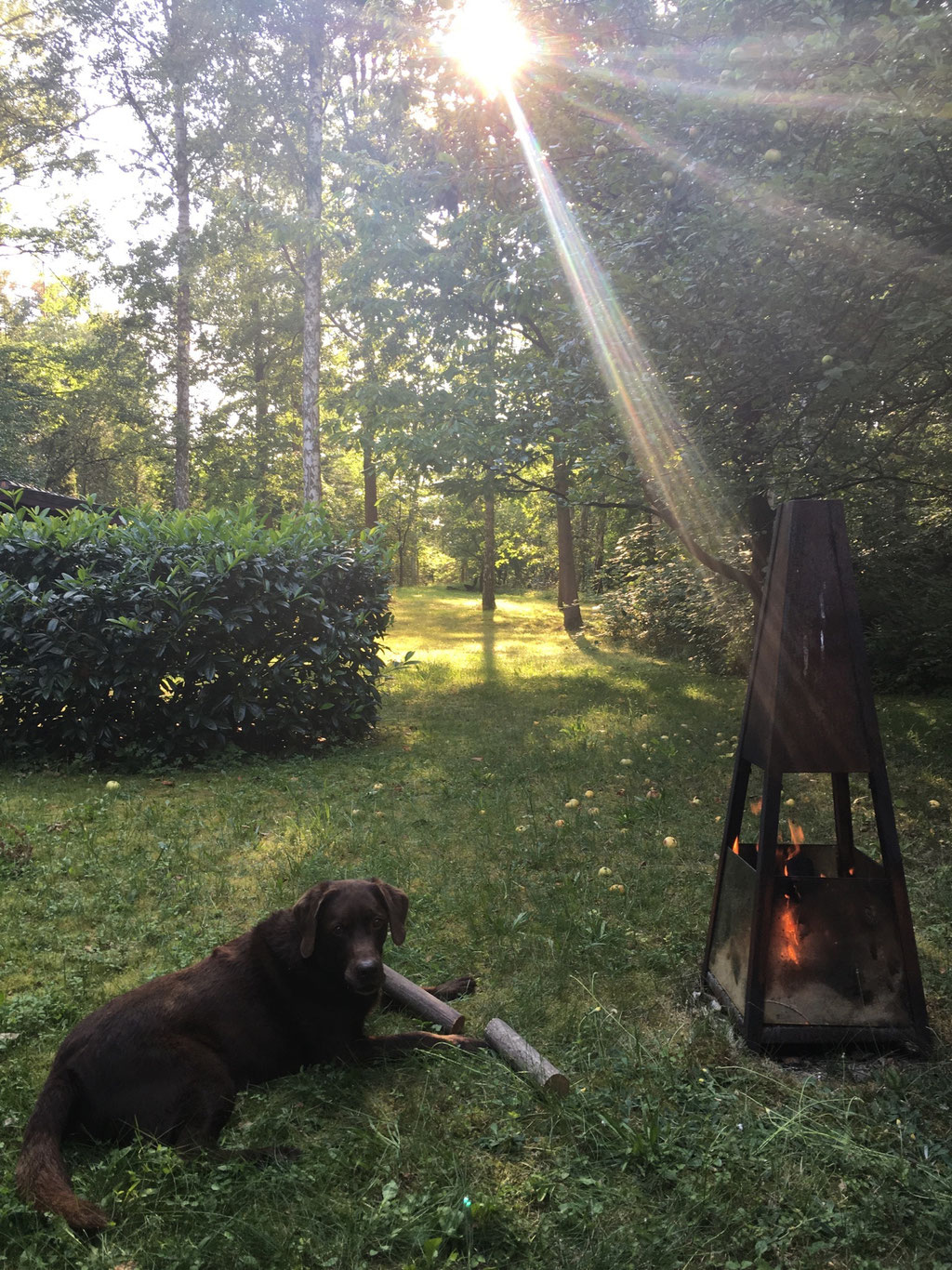 Ferienhaus am Wasser mit Hund eingezäunt Blockhaus Schorfheide am Üdersee